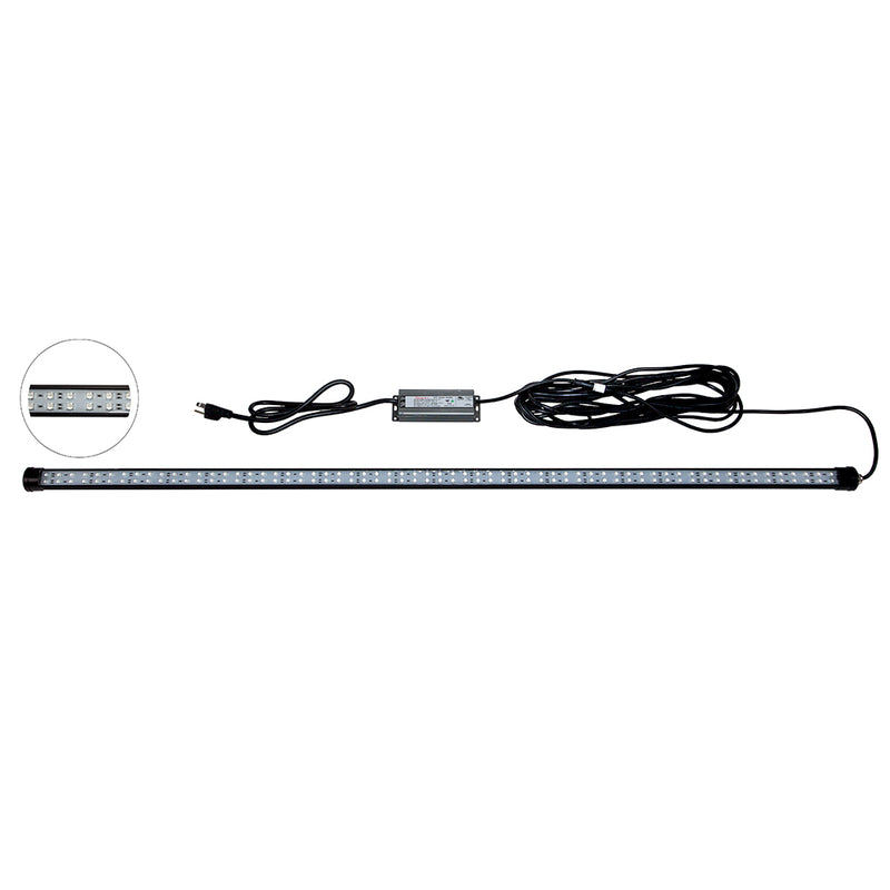 DM260B 40W/120VAC Dock Mounted Fishing Light - Blue